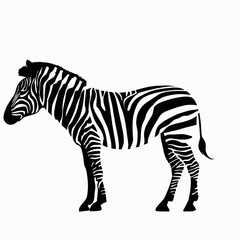Fototapeta na wymiar Vector Silhouette of Zebra, Striking Zebra Illustration for Wildlife and Africa Concepts