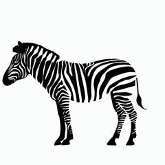 Vector Silhouette of Zebra, Striking Zebra Illustration for Wildlife and Africa Concepts