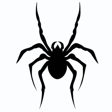 Vector Silhouette of Spider, Creepy Spider Illustration for Arachnid and Halloween Concepts