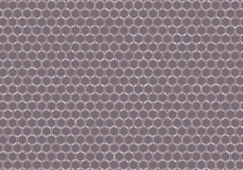 Image with hexagon pink gray background. Cell border with red and blue rounded wire frames on scan lines. Interior of a pinkish gray cell with white faded dots.