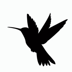 Vector Silhouette of Hummingbird, Delicate Hummingbird Illustration for Bird and Flower Designs