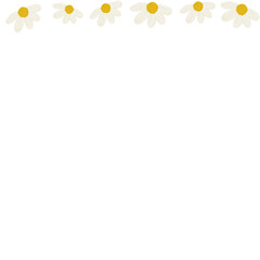 chamomile flower close-up. Daisy frame.