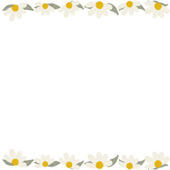 chamomile flower close-up. Daisy frame.