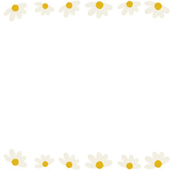 chamomile flower close-up. Daisy frame.