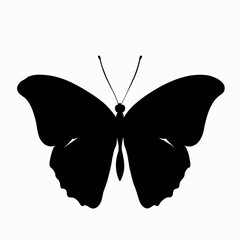Vector Silhouette of Butterfly, Beautiful Butterfly Graphic for Nature and Insect Themes
