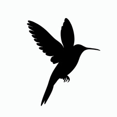 Vector Silhouette of Hummingbird, Delicate Hummingbird Illustration for Bird and Flower Designs
