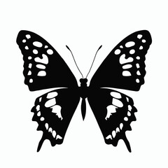 Vector Silhouette of Butterfly, Beautiful Butterfly Graphic for Nature and Insect Themes