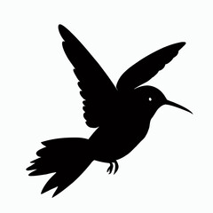 Vector Silhouette of Hummingbird, Delicate Hummingbird Illustration for Bird and Flower Designs