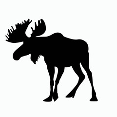 Vector Silhouette of Moose, Majestic Moose Graphic for Wildlife and Forest Designs