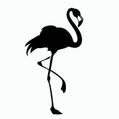 Vector Silhouette of Flamingo, Pink Flamingo Graphic for Tropical and Bird Concepts