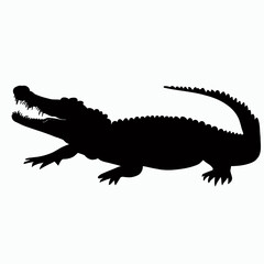 Vector Silhouette of Crocodile,alligator, Stealthy Crocodile Illustration for Nature and Wildlife Designs