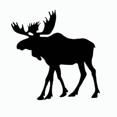 Vector Silhouette of Moose, Majestic Moose Graphic for Wildlife and Forest Designs