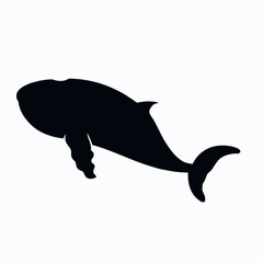 Vector Silhouette of Whale, Majestic Whale Illustration for Marine and Sea Concepts