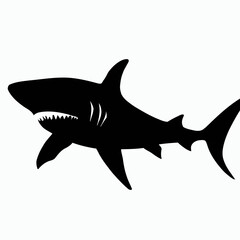 Vector Silhouette of Shark, Fierce Shark Graphic for Underwater and Ocean Designs