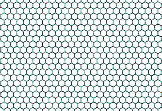 Image with hexagonal white background. Border of cells with red, black and blue rounded wide wire shapes on pattern of hexagons. White cell interior with small shadow.