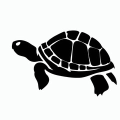 Vector Silhouette of Turtle, Wise Turtle Illustration for Animal and Ocean Themes