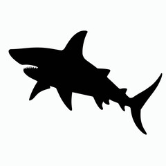 Vector Silhouette of Shark, Fierce Shark Graphic for Underwater and Ocean Designs