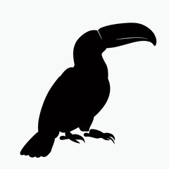 Vector Silhouette of Toucan, Playful Toucan Graphic for Bird and Tropical Concepts