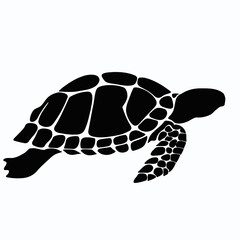 Vector Silhouette of Turtle, Wise Turtle Illustration for Animal and Ocean Themes