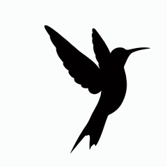 Vector Silhouette of Hummingbird, Delicate Hummingbird Illustration for Bird and Flower Designs
