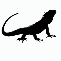Fototapeta premium Vector Silhouette of Lizard, Curious Lizard Illustration for Reptile and Nature Themes