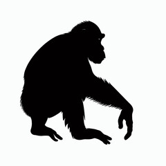 Vector Silhouette of Chimpanzee, Intelligent Chimpanzee Graphic for Wildlife Concepts