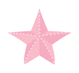 pink starfish sea life