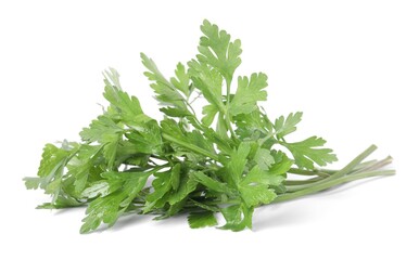 Sprigs of fresh green parsley leaves isolated on white