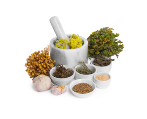 Mortar with pestle, many different dry herbs, flowers and garlic isolated on white