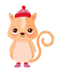 autumn season animal cat