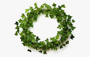 Green ivy creeper plant wreath round isolated on a white background