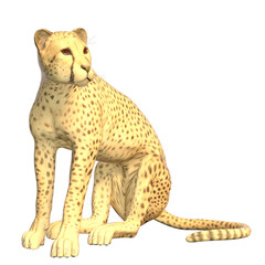 leopard 3d render isolated illustration