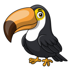 Cute toucan cartoon on white background