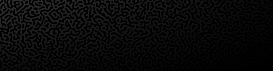 Poster Abstract black monochrome reaction diffusion psychedelic pattern background. Organic line art biological wallpaper. Turing generative algorithm design. © Vjom