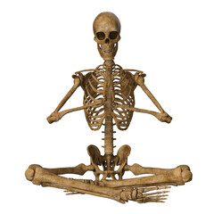 human skull Skeleton 3D render isolated illustration