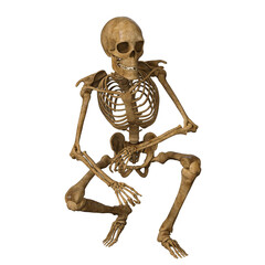 human skull Skeleton 3D render isolated illustration