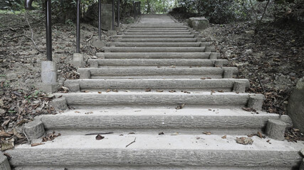 stone staircase in the park