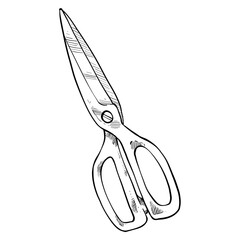 Scissor handdrawn illustration