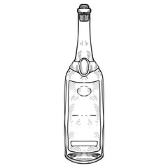 wine bottle handdrawn illustration