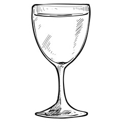wine handdrawn illustration