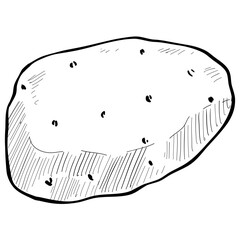 potato handdrawn illustration