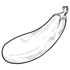 eggplant handdrawn illustration