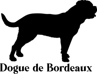 Dogue de Bordeaux Dog silhouette dog breeds logo dog monogram logo dog face vector
SVG PNG EPS