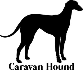 Caravan Hound, Dog silhouette dog breeds logo dog monogram logo dog face vector
SVG PNG EPS