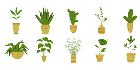 Set of aesthetic house plant illustration. Aesthetic home plant decoration. Cute floral. Vector Illustration.