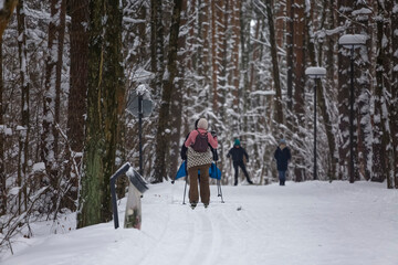 People are walking on cross-country skis in a snow-covered city park