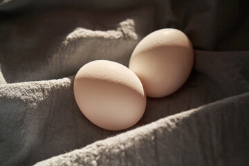 White chicken eggs on a blue apron close-up.