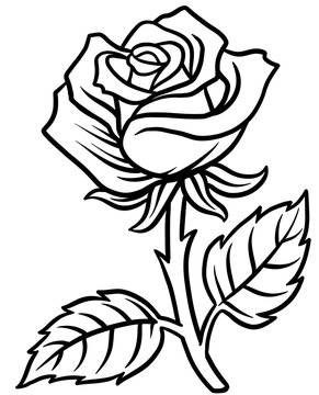 rose drawing line art illustration tattoo style