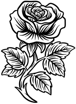 rose drawing line art illustration tattoo style