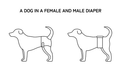 An icon of a dog in a dog female and male diaper / wrap. Vector line style design. 